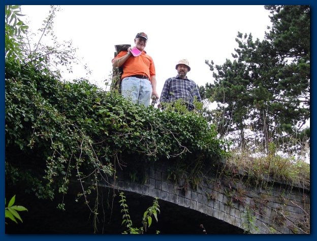 600x449 pixels (157K)